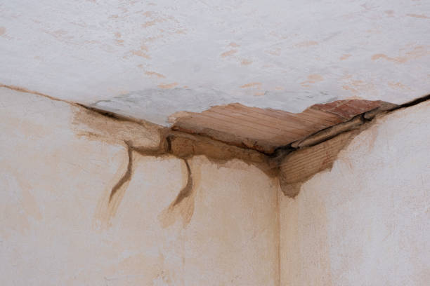 Best 24-hour water damage restoration  in Ridgefield, WA