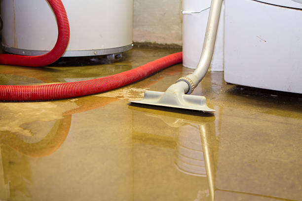 Best Flood damage cleanup  in Ridgefield, WA