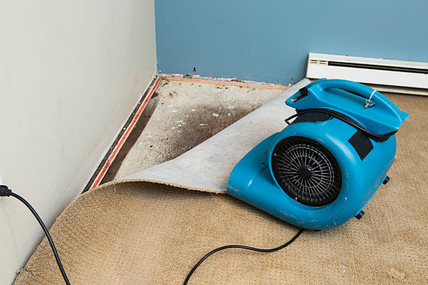 Best Residential water damage restoration  in Ridgefield, WA